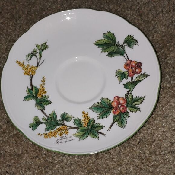 Seltmann Weiden Spulmaschinenfest waldbeere/ forest berries Tea Cup and Saucer - Picture 3 of 8